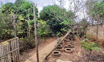 Imagem 7: Fazenda/Sítio/Chácara em Montes Claros à venda