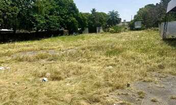 Imagem 5: Alugo Terreno na av Brasil com 6.000 m2