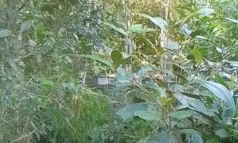 Imagem 2: Terreno disponível para venda, um investimento a longo prazo, Ratones, Florianópolis/SC