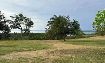 Imagem 3: SÍTIO À VENDA IRANDUBA / AM, AM-070, Km 28, Acesso ao Rio Negro