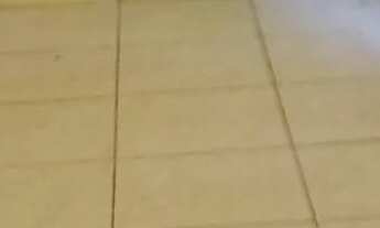 Imagem 6: Alugasse cada Casa com 1 dormitório