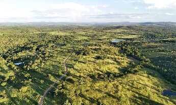 Imagem 4: Sítio à venda no bairro Goiás-Go em Goiás/GO