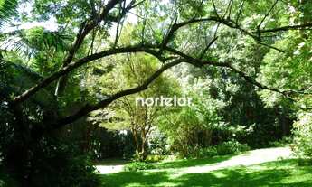 Imagem 4: Chácara com 7 dormitórios à venda, 6900 m² - Vila Clarice - São Paulo/SP