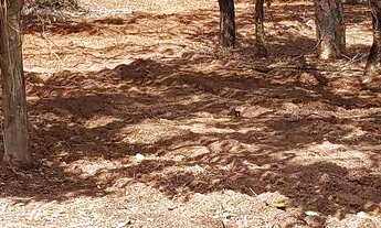 Imagem 6: SÓ ESSA SEMANA NÃO PERCA A OPORTUNIDADE!