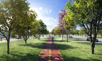 Imagem 7: Terreno Padrão em São José do Rio Preto