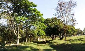 Imagem: Sítio em Artur Nogueira 42.200m2