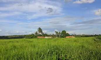 Imagem 2: FAZENDA EM CORAÇÃO DE MARIA - 100 TAREFAS