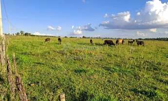 Imagem 3: Sitio Barra Funda 1 encravado na Fazenda Barra Funda - Município de Ipiguá