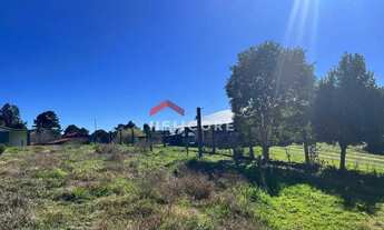 Imagem 7: Lote em Rua do Sossego - Veraneio Hampel - São Francisco de Paula/RS