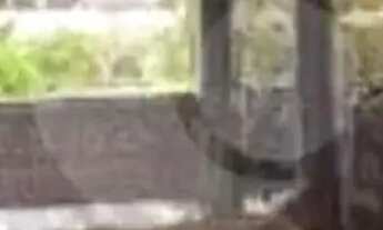 Imagem 5: Casa com 5 dormitórios à venda, 550 m² por R$ 1.800.000,00 - Piratininga - Niterói/RJ