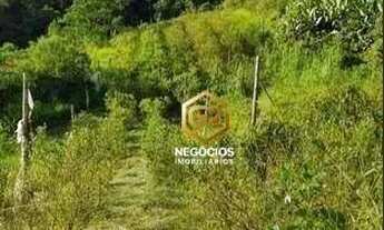 Imagem 5: Sítio com 4 dormitórios à venda, 200000 m² por R$ 3.600.000,00 - Sorocamirim - Ibiúna/SP