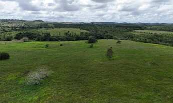 Imagem 2: Fazenda a venda Fazenda / sítio com venda por R$3.200.000