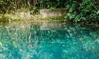 Imagem 3: Fazendinhas de 20.000m2 em Condomínio Fechado Perto da Lagoa Central