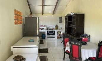 Imagem 7: ANO TODO PASTO VERDE