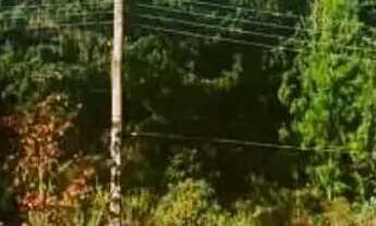 Imagem 6: Lote em Descansópolis - Descansópolis - Campos do Jordão/SP