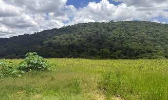 Imagem 7: Ds(1000m2 de terra pra sua tão sonhada chacrinha!!