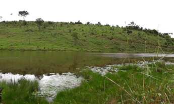 Imagem 7: Vendo 3 lotes de 100 hectares km 165 Norte