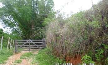 Imagem 4: 2166/Ótima fazenda de 260 ha em Além Paraíba MG