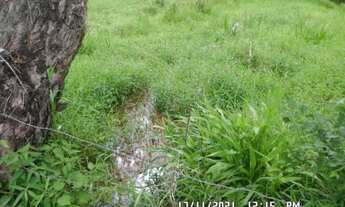 Imagem: 2166/Ótima fazenda de 260 ha em Além Paraíba