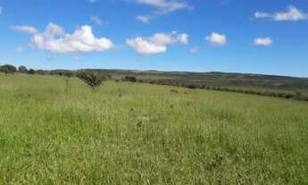 Imagem: Oportunidade! Excelente fazenda de 350 Alqueires