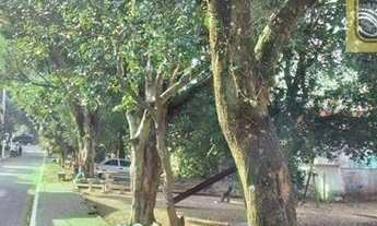 Imagem: Casas para alugar em São Paulo/SP - Compre