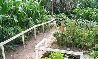 Imagem 5: Sítio Alto padrão com 3 dormitórios à venda, 10000 m² por R$ 1.500.000 - Morro Alto - Baln