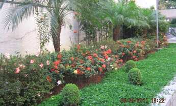 Imagem 5: PERDIZES/ 3DTS/REFORMADISSIMO PRONTO P/MORAR