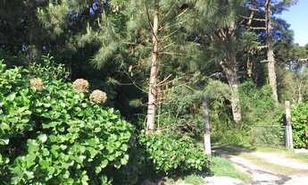 Imagem 7: Área no bairro Mato Queimado em Gramado!