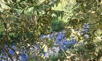 Imagem: Chácara de 10.000m² em Azurita