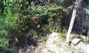 Imagem 6: Nova Lima - Loteamento/Condomínio - Cond. Arvoredo