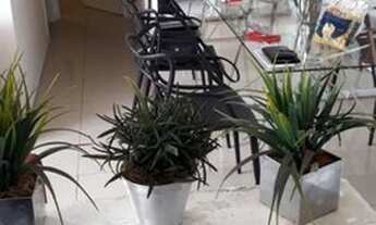 Imagem 7: Apartamento para Venda em São Paulo, Vila Antonieta, 2 dormitórios, 1 banheiro, 1 vaga