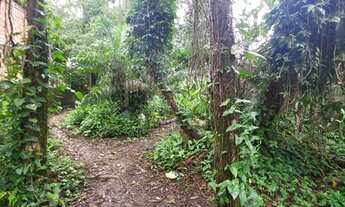 Imagem: Terreno plano murado com uma construção