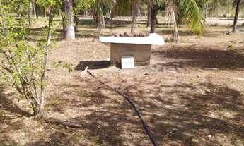 Imagem 3: LAJEADO - Chácara - TO 31