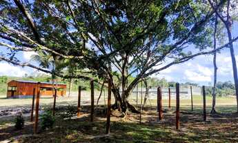 Imagem 5: Barbada,transfiro lote 1.000 m2, chácara Rio Negro