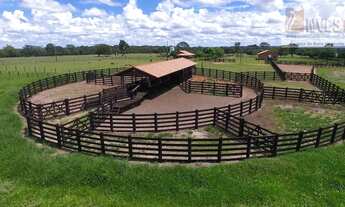 Imagem 7: Fazenda para Venda em Campo Grande, Saída Três Lagoas, 6 dormitórios, 6 suítes, 7 banheiro