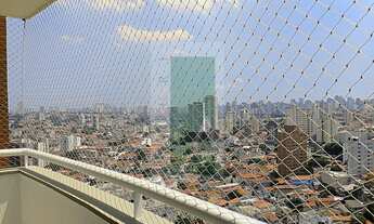 Imagem 6: Lindo Apartamento na Vila Monumento