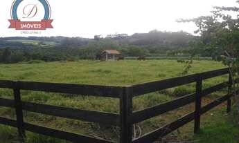 Imagem 6: Chácara com 3 dormitórios à venda, 20600 m² por R$ 480.000 - Santa Sofia - Sarapuí/SP