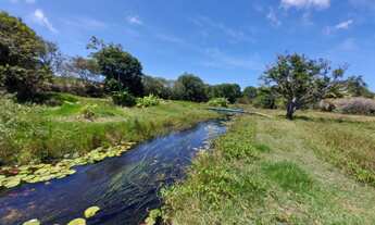 Imagem 3: Vende-se uma granja com 2 ha com rio perene - Povoado de Caiana - Ceará Mirim - RN