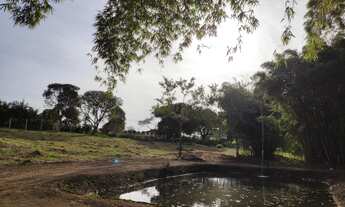 Imagem 6: Sitio em cajuru 2.87 alqueires 650.000.00 ( junio-ca