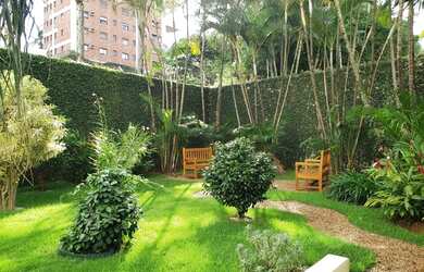 Imagem 2: COM TERRACINHO NA DOM PAULO PEDROSA