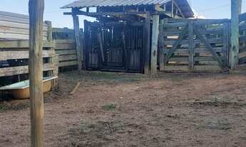 Imagem 6: FAZENDA TOP PRODUTIVA, DIRETO COM O PROPRIETÁRIO, ÓTIMO INVESTIMENTO!!!