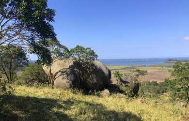 Imagem 3: LINDO 2,3 HECTARES VISTA PARA LAGOA!!