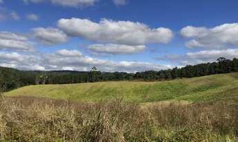 Imagem 3: TERRENO COM LOCALIZAÇÃO EXCUSIVA EM COTIA
