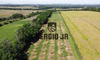Imagem 6: Sítio com 7,5h, casa, galpão, açudes em Guaíba - Aceito troca por casa na praia