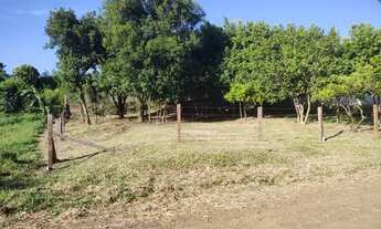 Imagem 3: Terrenos no bairro Sta Terezinha - Taquara