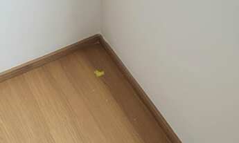 Imagem 4: Alugo apartamento no Residencial Mar de Paraty