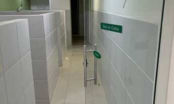 Imagem 5: Loja térrea em galeria 200 m2