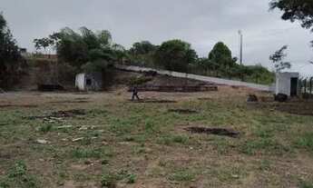 Imagem 7: Area 8000m2 BR 324 (Amélia Rodrigues