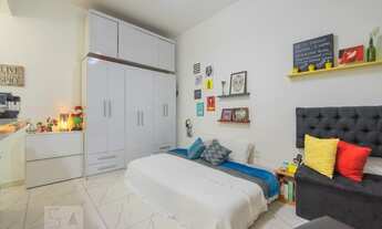 Imagem 4: Apartamento para Aluguel - Santa Teresa, 1 Quarto, 25 m2