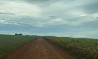 Imagem: Fazenda em Nova Ubiratã MT á venda